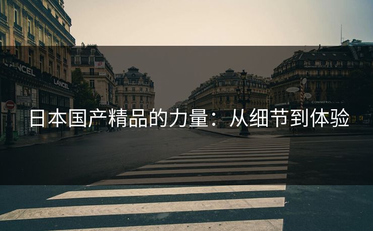 日本国产精品的力量：从细节到体验
