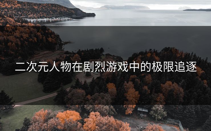 二次元人物在剧烈游戏中的极限追逐