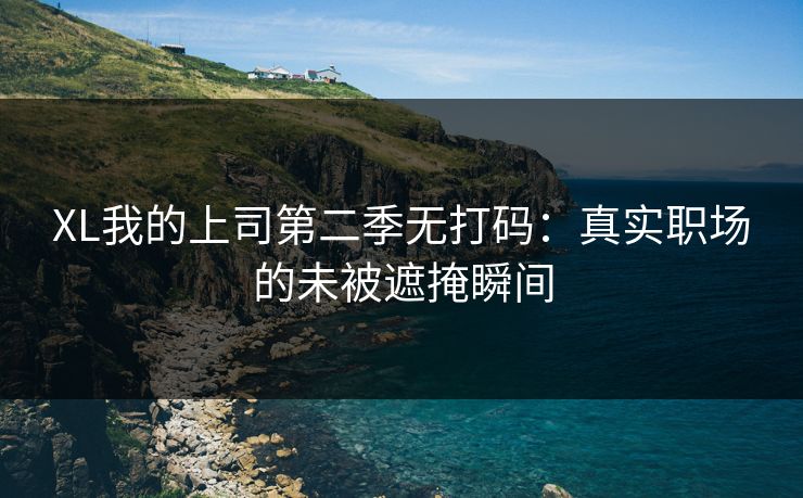 XL我的上司第二季无打码：真实职场的未被遮掩瞬间