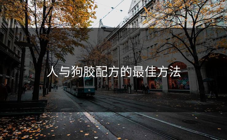 人与狗胶配方的最佳方法