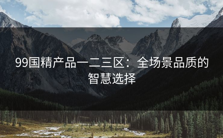 99国精产品一二三区：全场景品质的智慧选择
