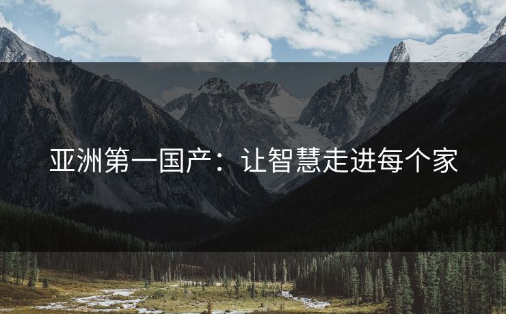 亚洲第一国产：让智慧走进每个家