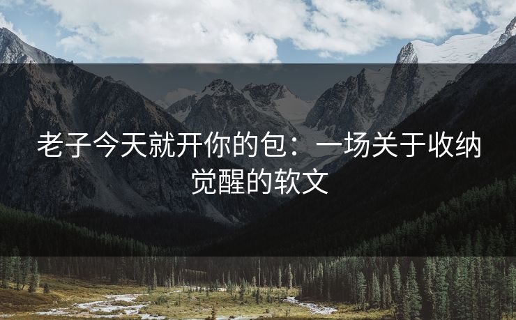 老子今天就开你的包：一场关于收纳觉醒的软文