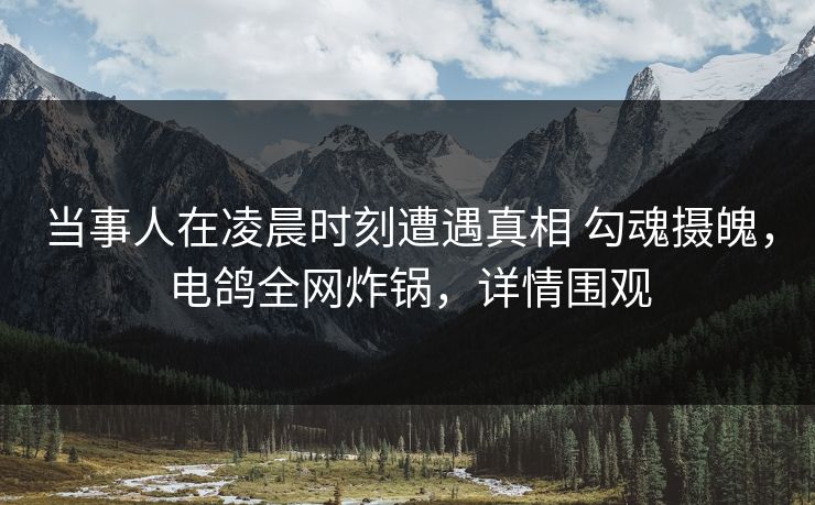 当事人在凌晨时刻遭遇真相 勾魂摄魄，电鸽全网炸锅，详情围观