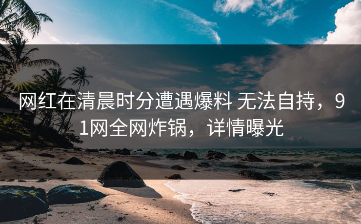 网红在清晨时分遭遇爆料 无法自持，91网全网炸锅，详情曝光