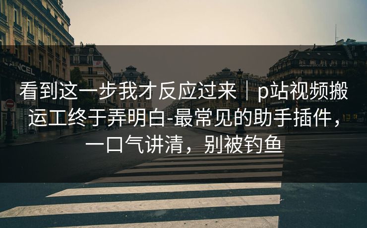 看到这一步我才反应过来｜p站视频搬运工终于弄明白-最常见的助手插件，一口气讲清，别被钓鱼